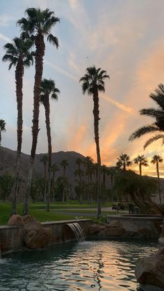 palm trees are in the foreground with a pond and waterfall at sunset behind them