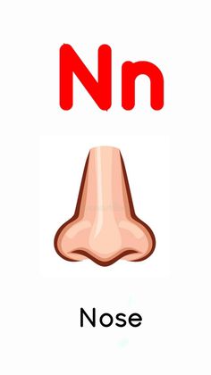 the letter n is for nose and it has an image of a nose on it