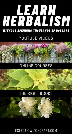 four different types of flowers with the words learn herbism