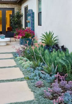 an outdoor patio area with various plants and flowers