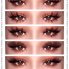 the different types of eyes with long lashes