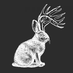 a black and white drawing of a rabbit with antlers on it's head