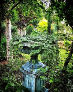 an old urn in the middle of a garden with lots of plants growing out of it