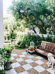 a white dog sitting on top of a wooden bench next to a lush green forest