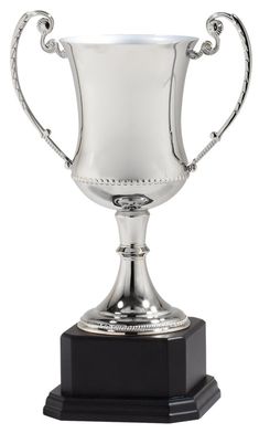 a silver trophy on top of a black base with a rope around the bottom and sides