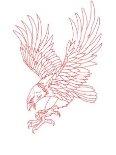 an eagle flying with its wings spread out and talons extended to the side, on a white background