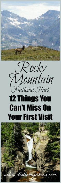 the rocky mountain national park has two things you can't miss on your first visit