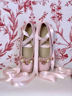 Historically Inspired Victorian Regency Rococo style Pink Satin Rosette Ballet Slipper flat shoes with Ribbon Laces. Ribbon Shoes, Ballet Heels, Fantasy Shop, Ribbon Laces, Ballet Performances, Ballerina Pink, Pink Ballerina, Girly Shoes, Rococo Style