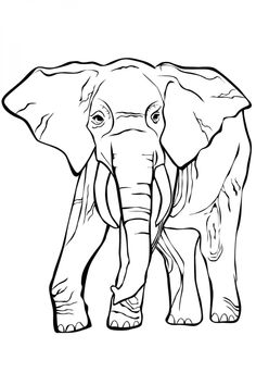 an elephant with tusks is standing in the middle of a line art drawing