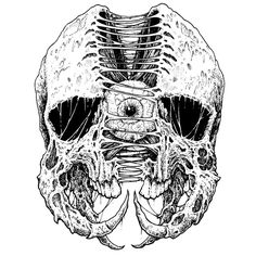 a black and white drawing of a human skull with the lower jaw exposed to reveal an eye