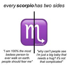 the zodiac sign has two sides