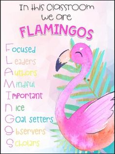 a pink flamingo with the words in this classroom we are flamingos