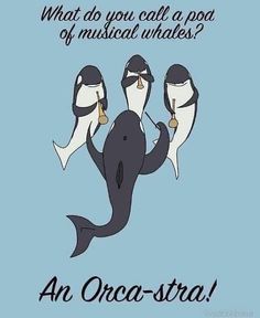 an orca - sta ad on the facebook page with two penguins and one whale