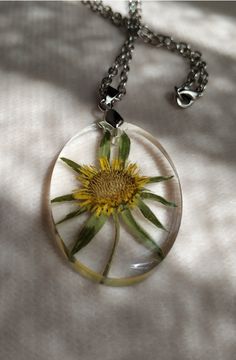 a dandelion flower is in a glass pendant on a silver ball chain necklace