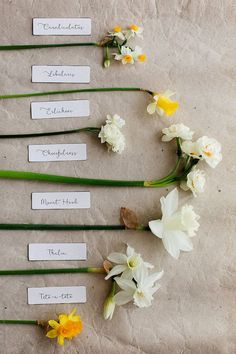 flowers are laid out on a piece of paper with name tags attached to them that read, mother's day