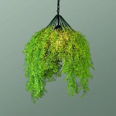 Iron Cage Hanging Pendant Light With Diamond Bulb And Decorative Plant Green Iron Ceiling, Industrial Ceiling Fan, Hanging Pendant Light, Industrial Wall Lights, Art Deco Chandelier, Statement Lighting, Plant Lighting, Modern Ceiling Fan, Green Style