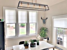 a dining room table with chairs and plants in front of two windows that have white shades on them