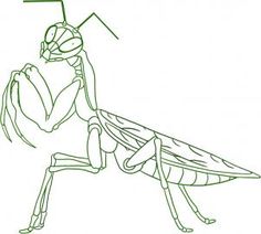 a drawing of a praying mantissa