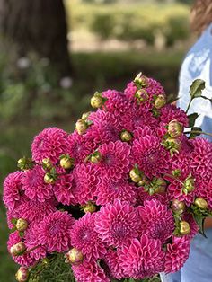 a woman holding a bouquet of pink flowers