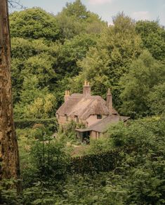 an old house in the middle of some trees and bushes with a thatched roof