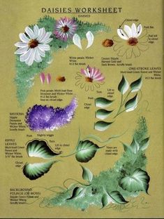 the daisy's worksheet is shown with flowers and leaves in purple, green,