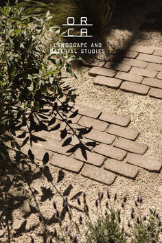 an image of a brick path in the middle of some grass and plants with words on it