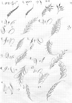 hand drawn feathers and numbers on graph paper