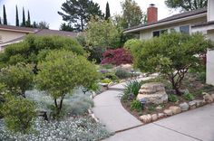 a house with landscaping and trees in the front yard, along with other plants on either side