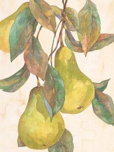 a painting of pears on a branch with leaves