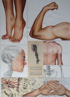 an art work with multiple images of human body parts