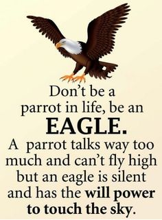 an eagle flying with the words don't be a parrot in life, be an eagle