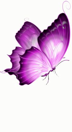 a purple butterfly flying through the air