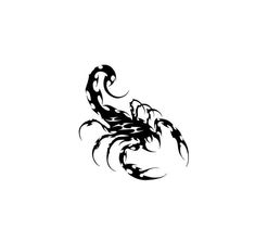 a black and white scorpion tattoo design