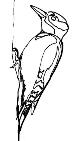 a black and white drawing of a bird on a branch