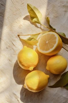 four lemons are sitting next to each other on a table with leaves and shadows