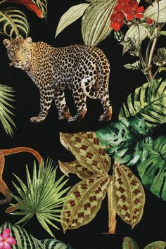 an image of a jungle scene with leopards and tropical plants on a black background