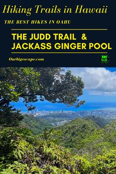 Try one of the Best Oahu hiking trails in Hawaii, The Judd Trail & Jackass Ginger Pool. Try this 1.0-mile loop trail near Honolulu. The trail is open year-round and is beautiful to visit anytime. Generally considered a moderately challenging route, it takes an average of 28 min to complete. Judd Trail Oahu, Travel Hawaii, Swimming Holes, Best Hikes, Hawaii Travel, The Trail, National Forest