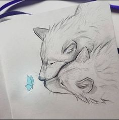 a drawing of two wolfs and a butterfly on a piece of paper next to each other