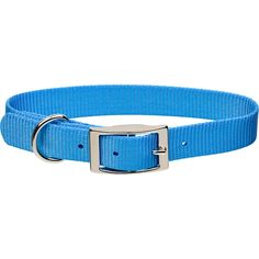 a blue dog collar with a metal buckle