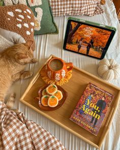 an orange cat laying on top of a bed next to a tray filled with food