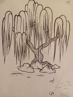 a drawing of a tree in the water