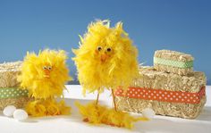 two little yellow chicks standing next to each other