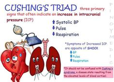 an info sheet describing the effects of cushing's trad and how to use it