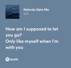 the words nobody gets me sza are in front of an image of a seagull