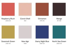 the color chart for different shades of paint