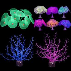 four different types of corals and seaweed are shown in this image, one is purple the other is green