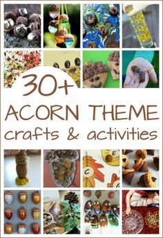 the cover of 30 acorn theme crafts and activities