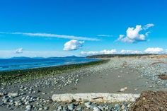 an empty beach with rocks and grass on the shore