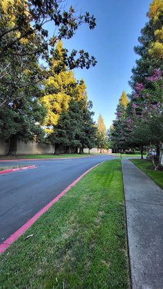 an empty street lined with trees and grass