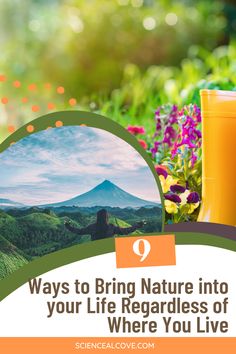 a glass of orange juice next to flowers with the words, ways to bring nature into your life regardless of where you live